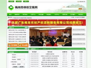 梅州金新科網絡公司 企業網站建設與軟件開發的專業之選