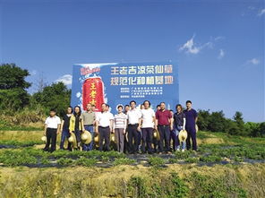 廣藥集團打造國企踐行社會責任的廣州樣本